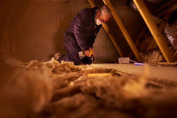 Best Eco-Friendly or Green Insulation Solutions  in Oxford, MS